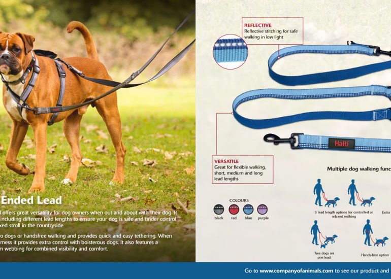 Company_of_Animals_Brochure-Ben-Dog-Photography-by-Brighton-Photographer-Emma-Bailey