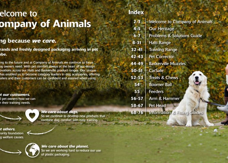 Company_of_Animals_Brochure-Ben-Dog-Photography-by-Brighton-Photographer-Emma-Bailey