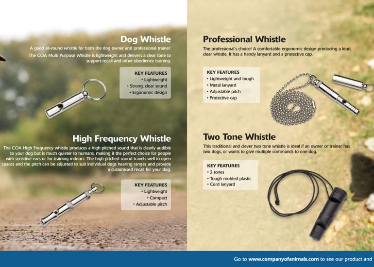 Company_of_Animals_Brochure-Ben-Dog-Photography-by-Brighton-Photographer-Emma-Bailey