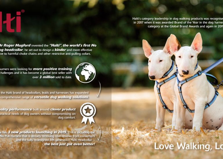 Company_of_Animals_Brochure-Ben-Dog-Photography-by-Brighton-Photographer-Emma-Bailey