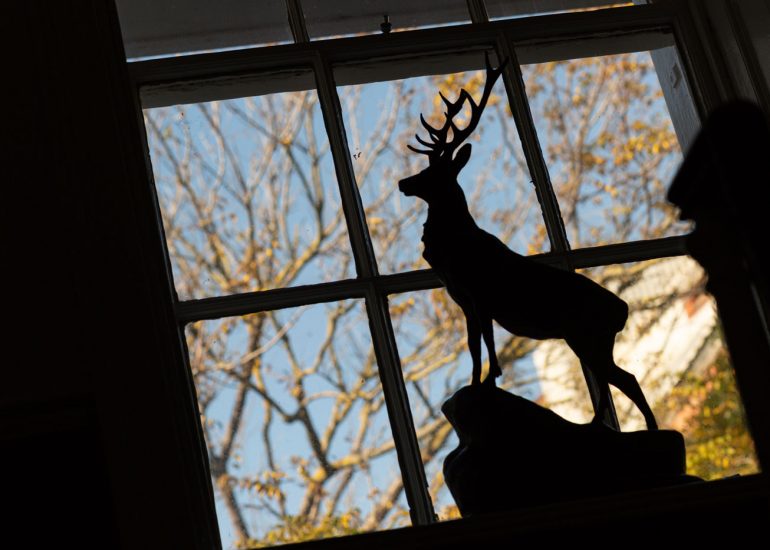 Moretons-Investments-PMW-Brighton-Pier-Landscape-PR-Marketing-Photography-by-Photographer-Emma-Bailey