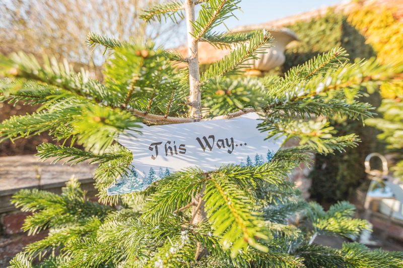 Excelcare Christmas Party-Event Photography at Braxted Park by Brighton Event Photographer Emma Bailey