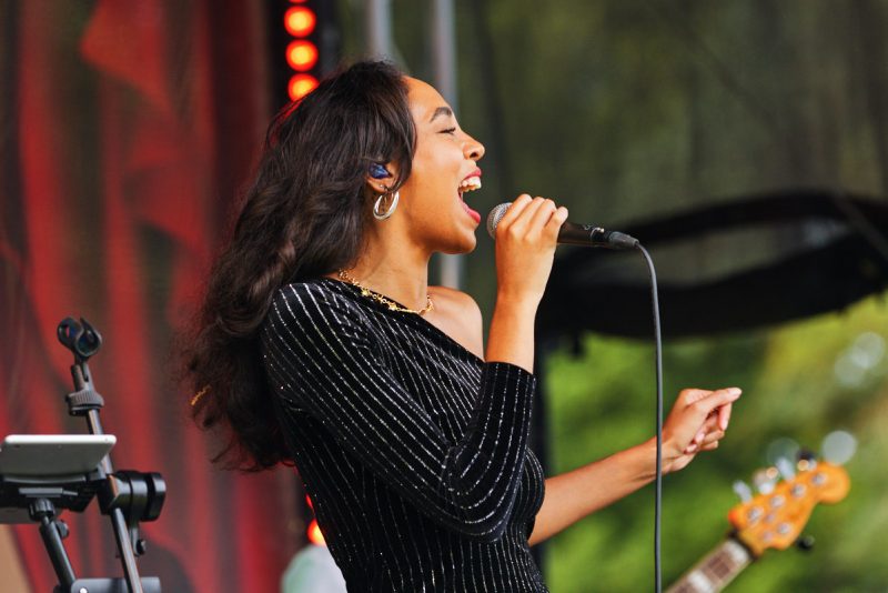 Excelcare & Guildmore-Greatest Show Festival at Braxted Park