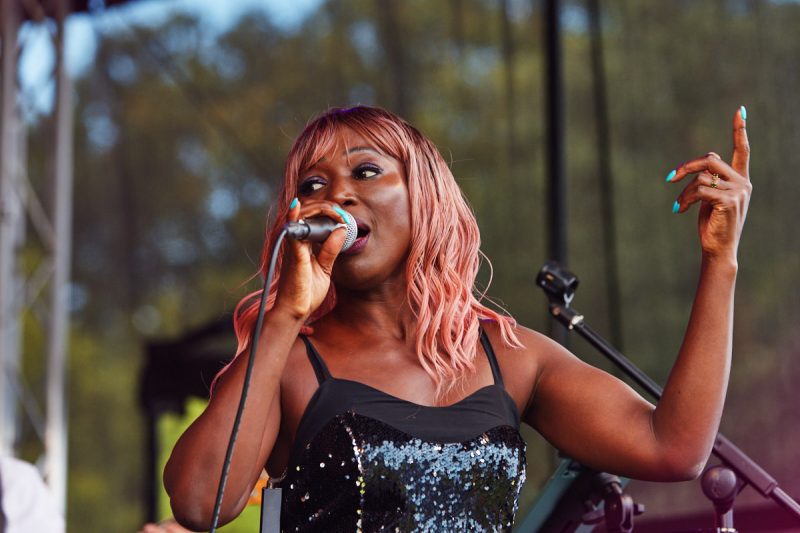 Excelcare & Guildmore-Greatest Show Festival at Braxted Park