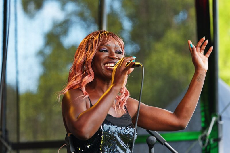 Excelcare & Guildmore-Greatest Show Festival at Braxted Park