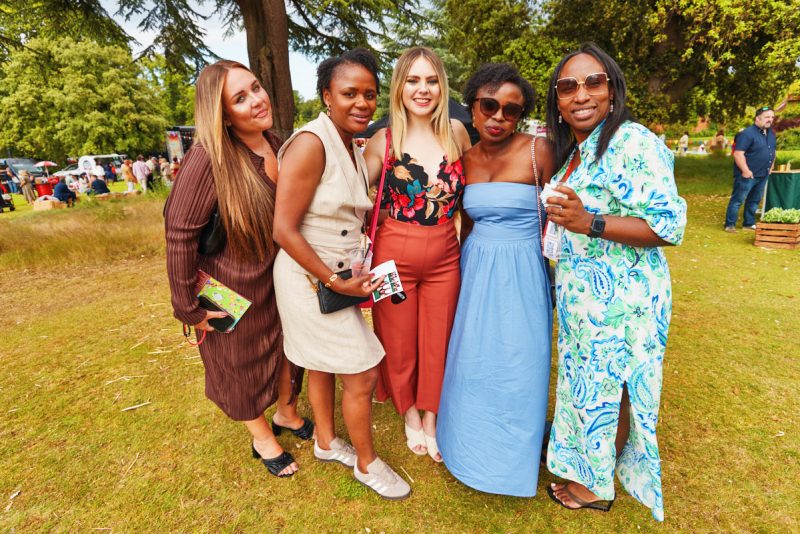 Excelcare & Guildmore-Greatest Show Festival at Braxted Park