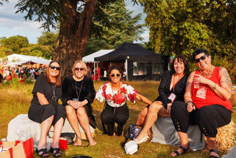 Excelcare & Guildmore-Greatest Show Festival at Braxted Park