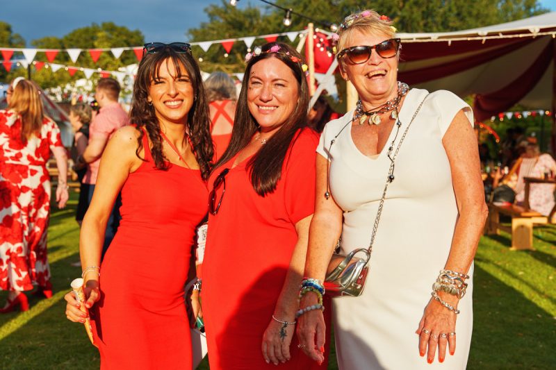 Excelcare & Guildmore-Greatest Show Festival at Braxted Park